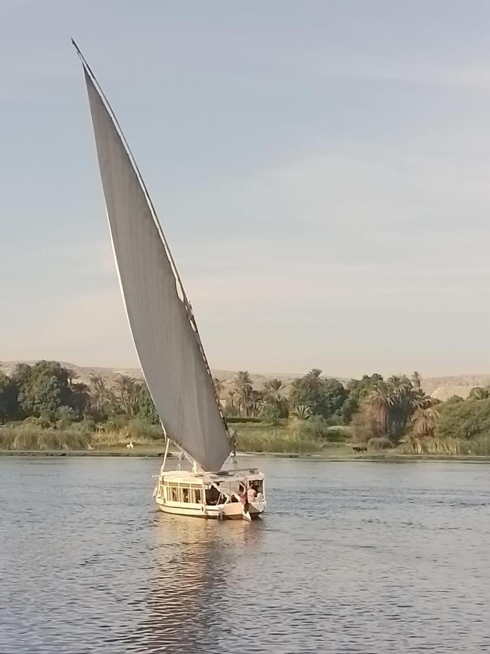 מלון אסואן Nile Felucca Adventure מראה חיצוני תמונה